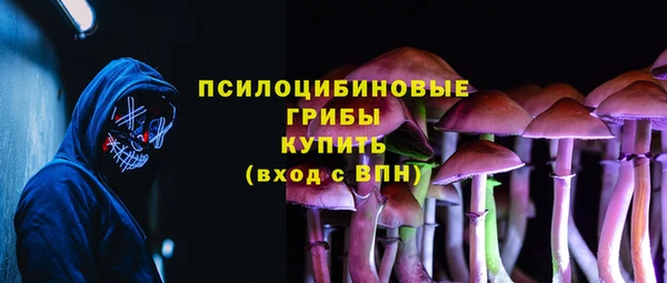бошки Алзамай