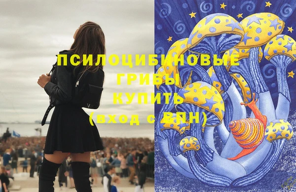 стафф Алексеевка