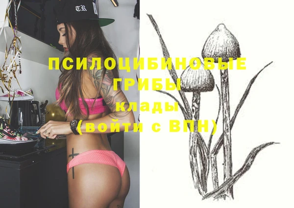 стафф Алексеевка